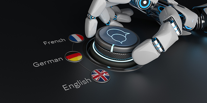 38. Professional Translations for WordPress